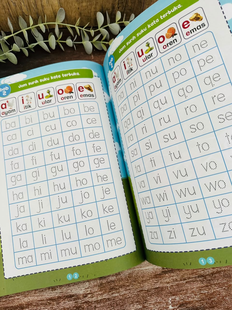 Buku Modul Pintar Saya Pandai Membaca Dan Menulis