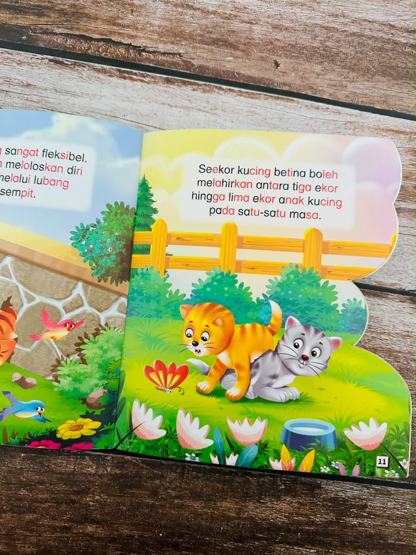 Buku Mari Mengenal Saya - Kucing (Oren)