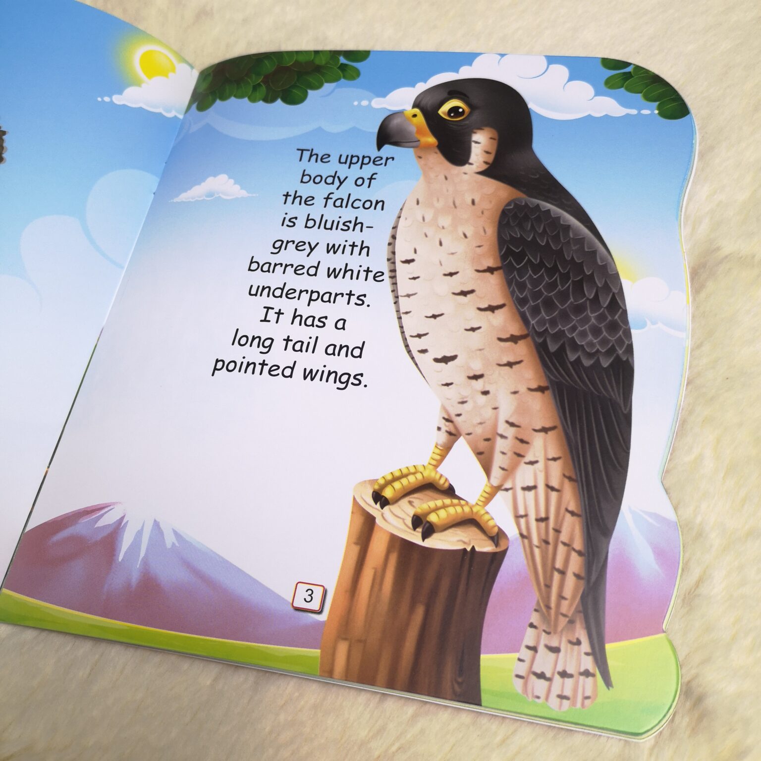 Buku I Am a Peregrine Falcon : Animal Story Book