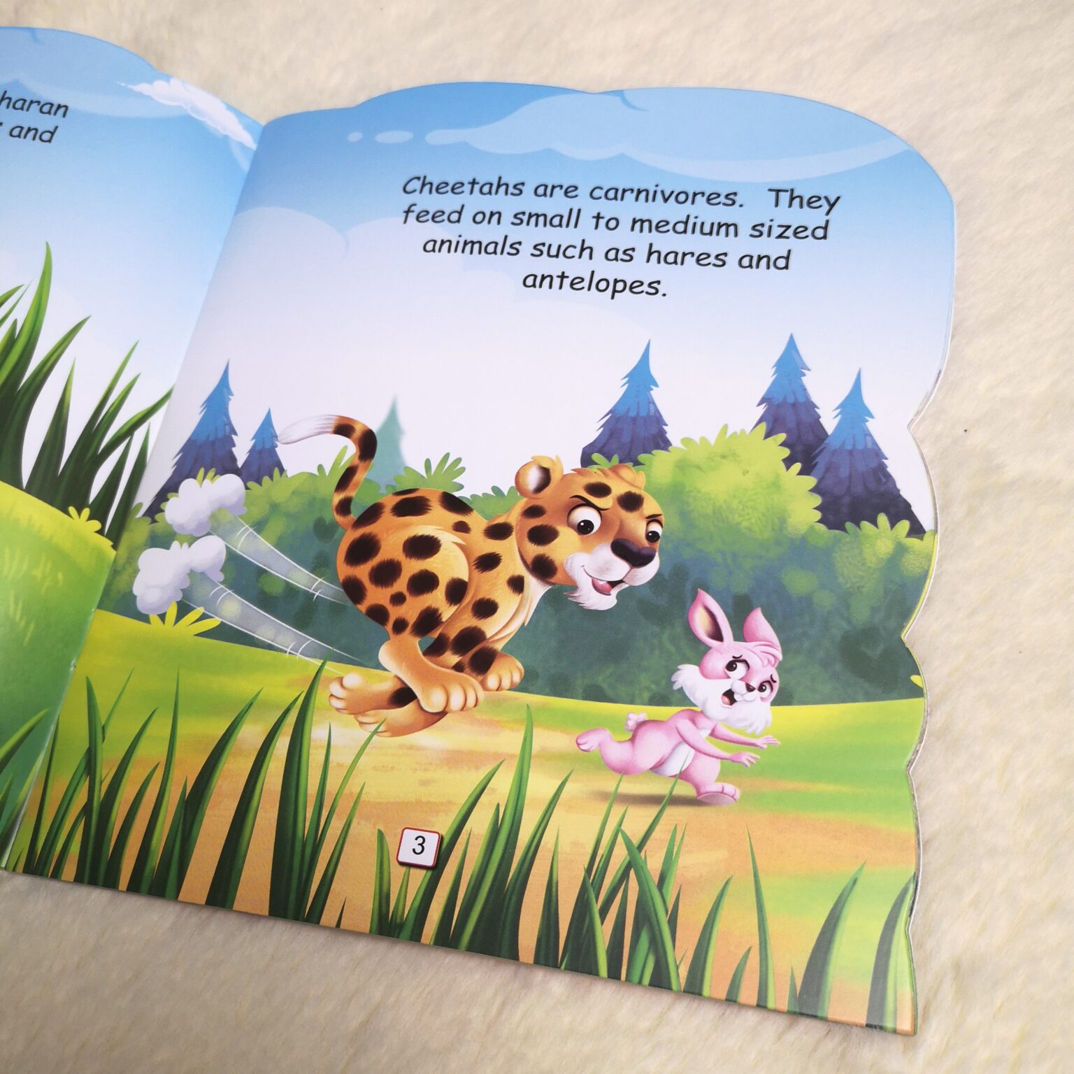 Buku I Am a Cheetah : Animal Story Book