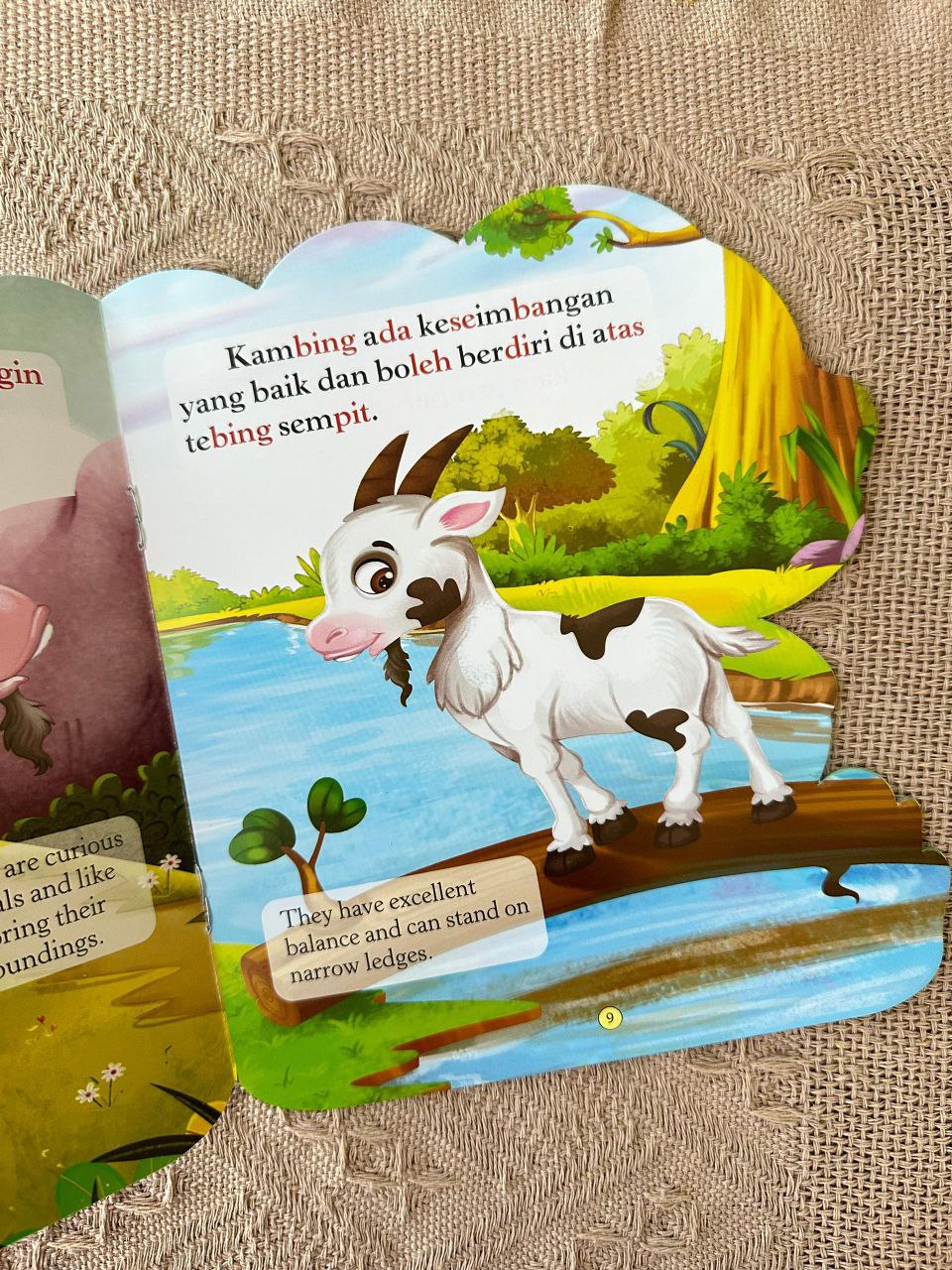 Buku Jom Kenali Saya - Kambing (Goat)