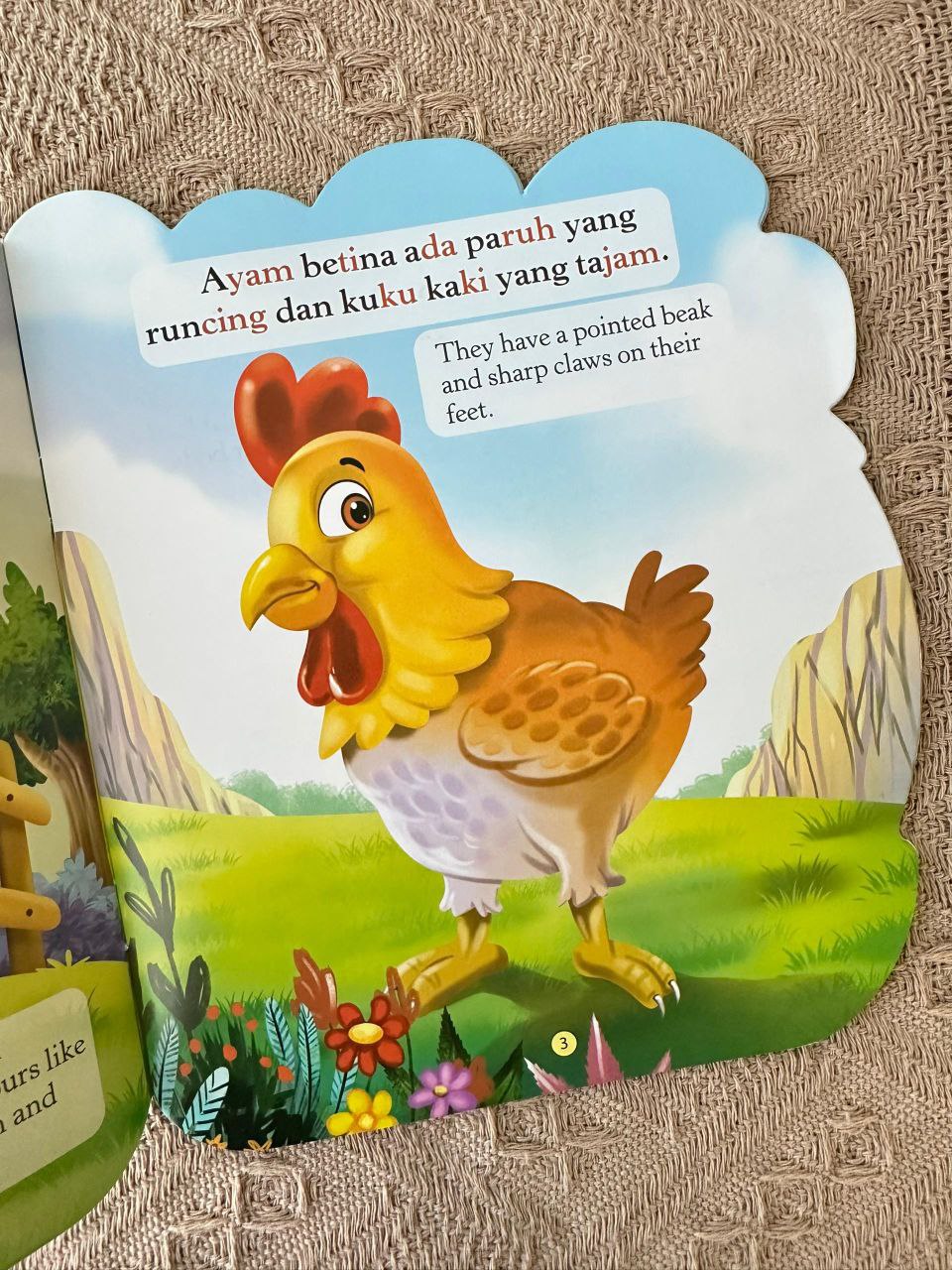 Buku Jom Kenali Saya - Ayam Betina (Hen)