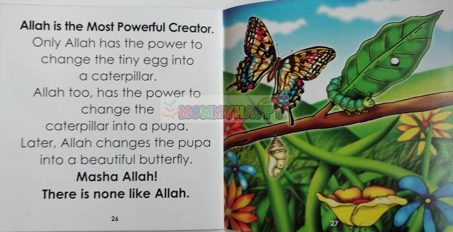 Story Book : A Beautiful Butterfly (Look Mommy, Look Daddy! Series)