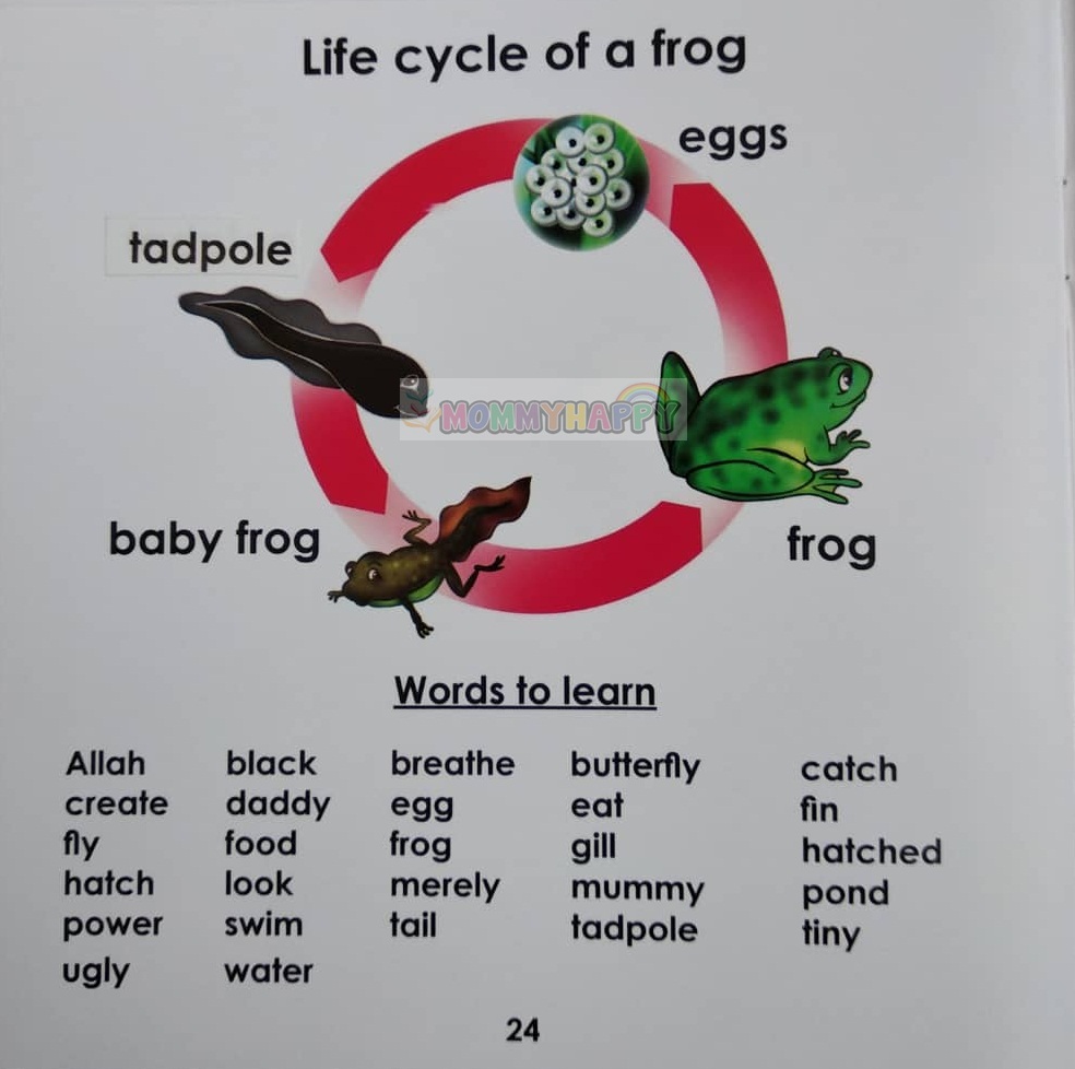 Story Book : A Jumping Frog (Look Mommy, Look Daddy! Series)