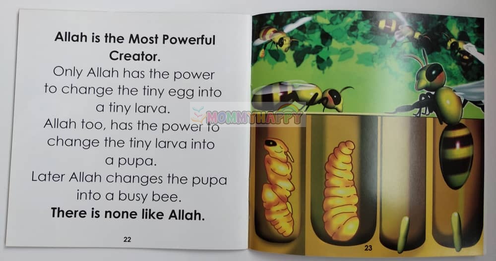 Story Book : A Busy Bee (Look Mommy, Look Daddy! Series)