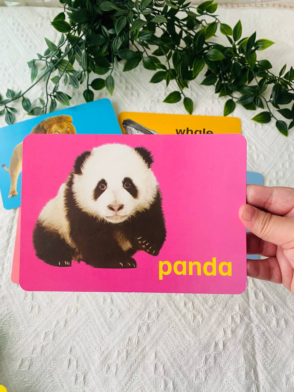 Flash Card Besar | Farm, Wild and Other Animals
