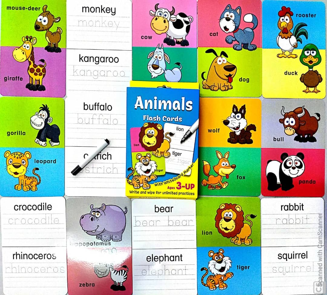 Flashcard Animals