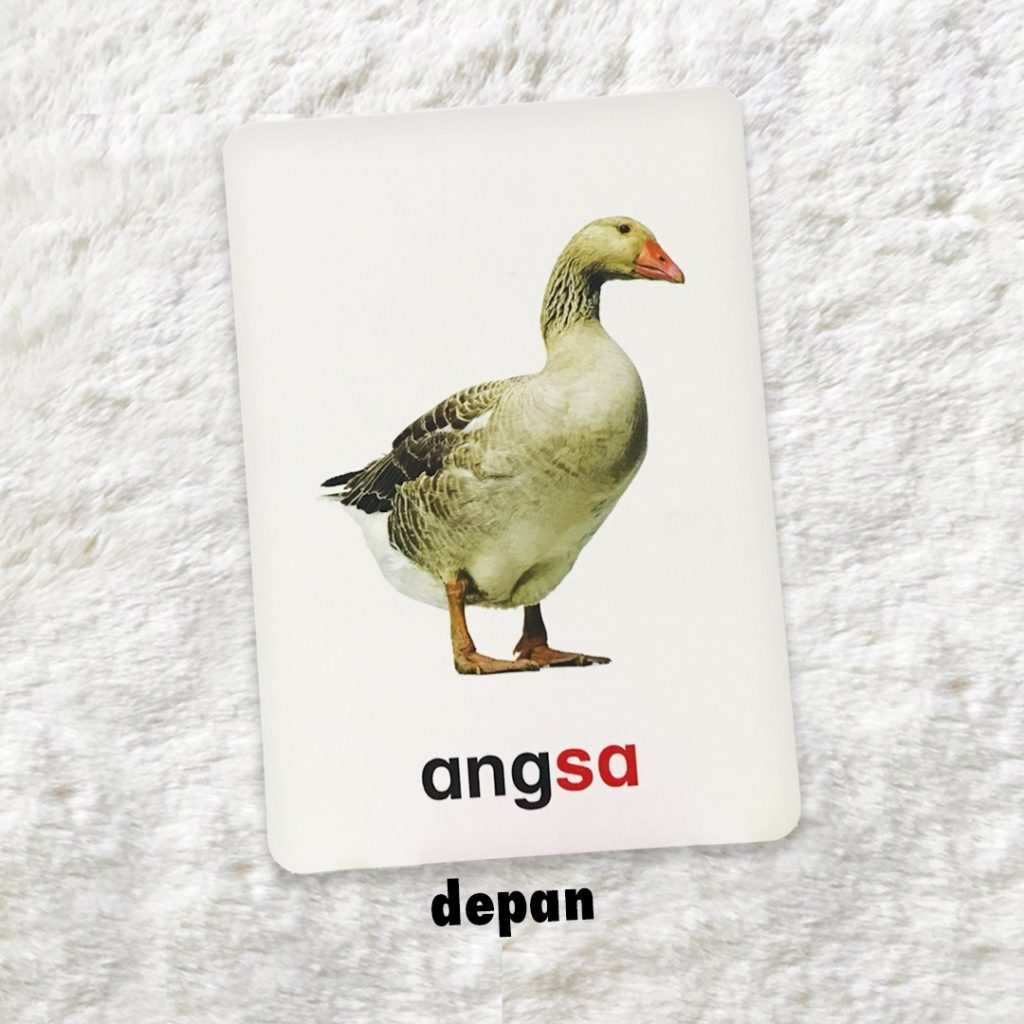 Kad Imbas Bijak Haiwan