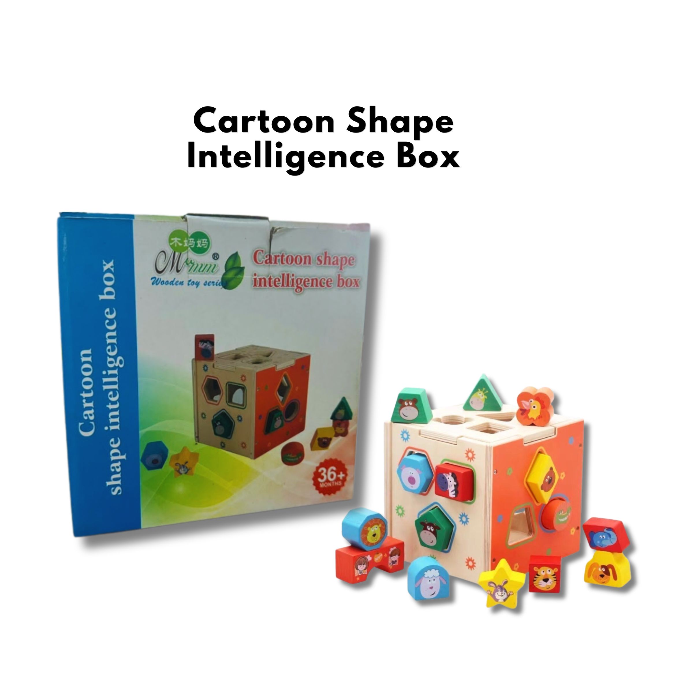 Cartoon Shaped Intelligent Box
